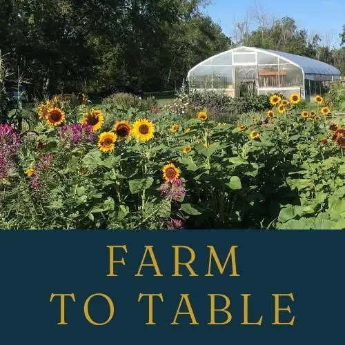 Farm to Table
