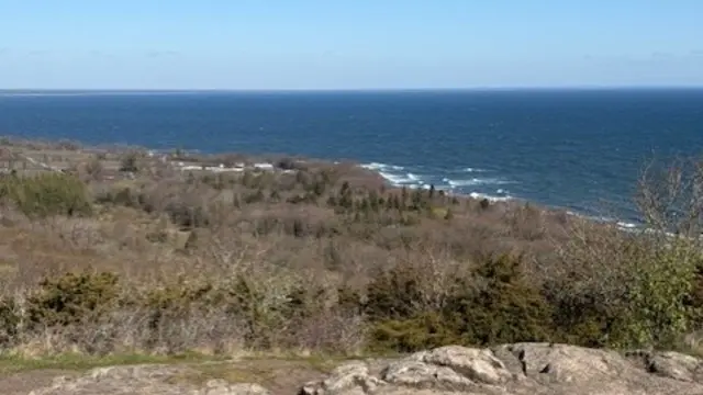 Yogavandring i Stenshuvuds nationalpark – att nära hjärtat