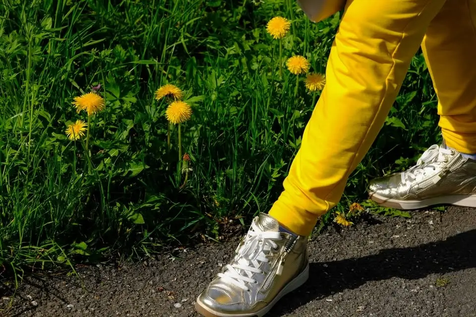 Summer Day of Reflection: Walking with Hope