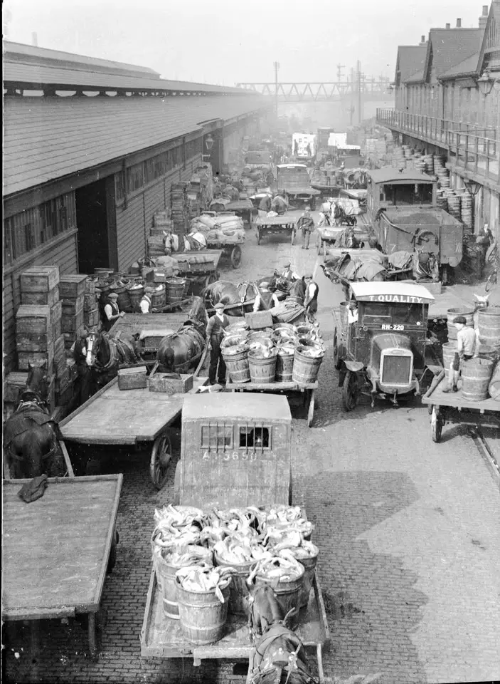 The History of Hull’s Docks - Hull History Hour Talk
