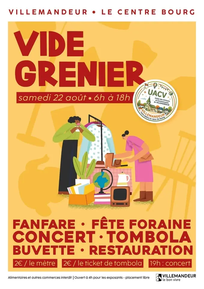 Vide-Grenier de Villemandeur