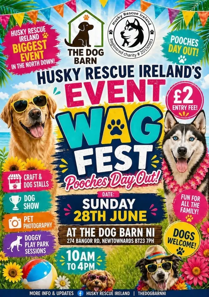 Wag Fest 