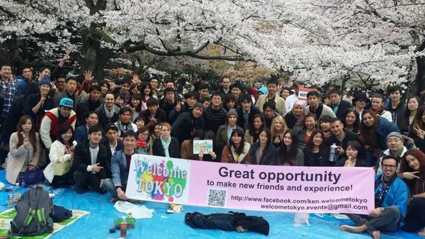Free Cake🍰🌸Sakura Picnic & Global Friendship☀ Harajuku 🌸国際交流お花見ピクニック 代々木公園