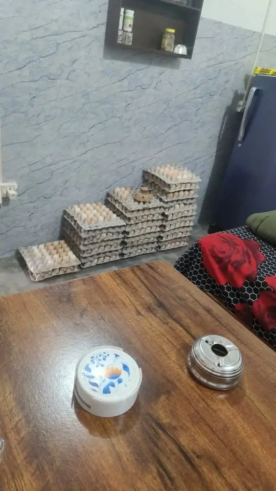 देसी बच्चे चूजे 