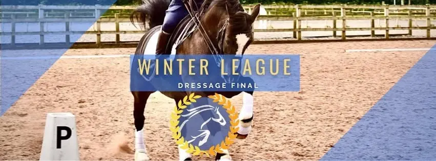 Ryder Saddles Summer League Dressage inc. Long Arena Tests