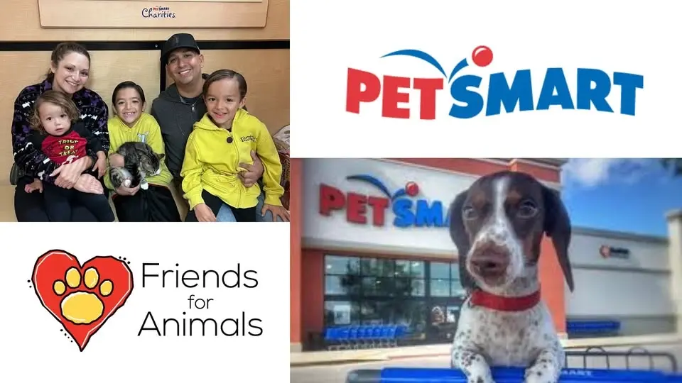 National Adoption Week Event at PetSmart Dearborn