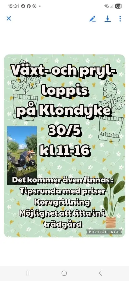 Växt och pryl- loppis 30 maj på Klondyke