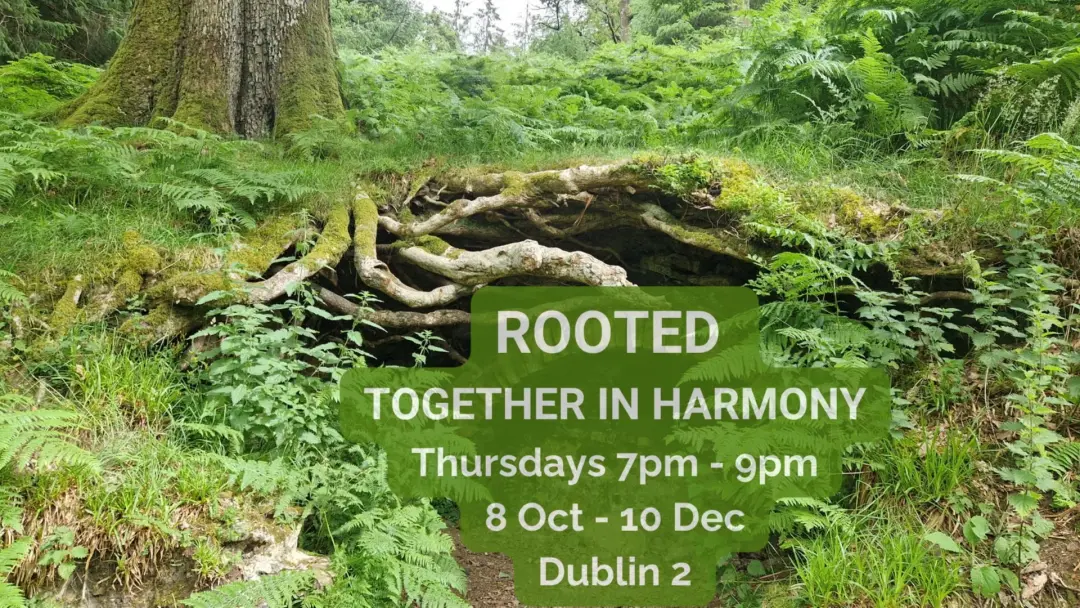 Rooted Together in Harmony Singing & Voice Journey
