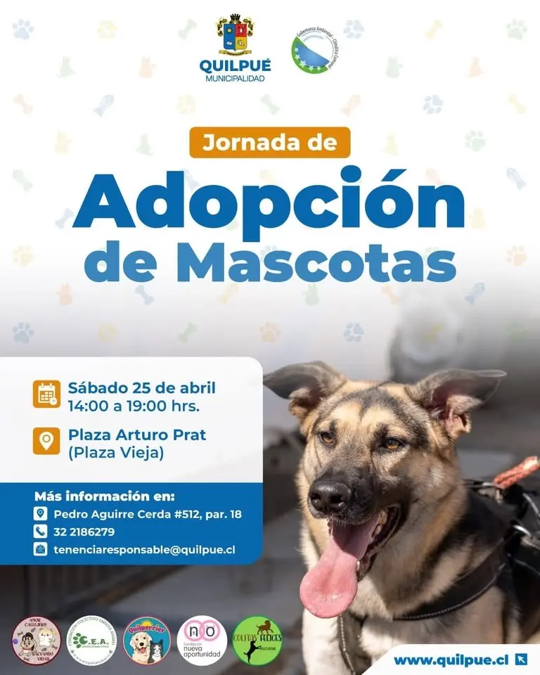 jornada de adopción 