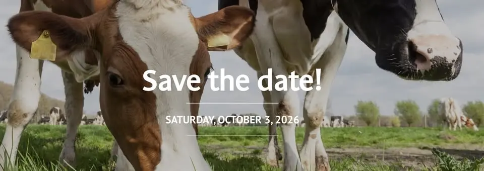 LITTLE FALLS CHEESE FESTIVAL