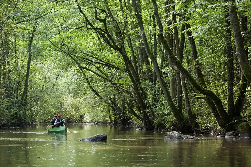 A River and Forest Nature Walk