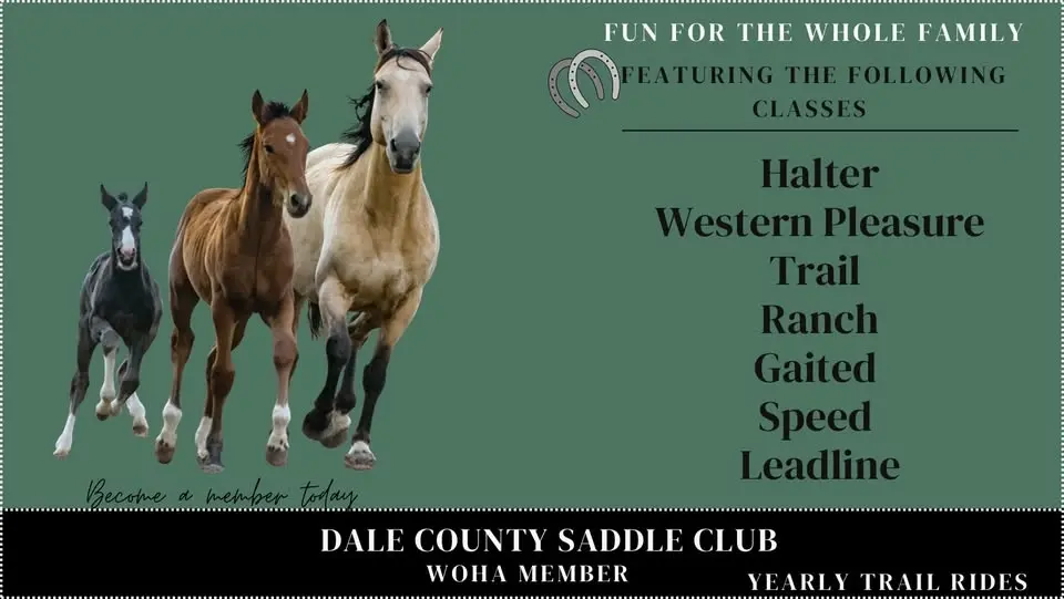 Dale County Saddle Club Point Show #9