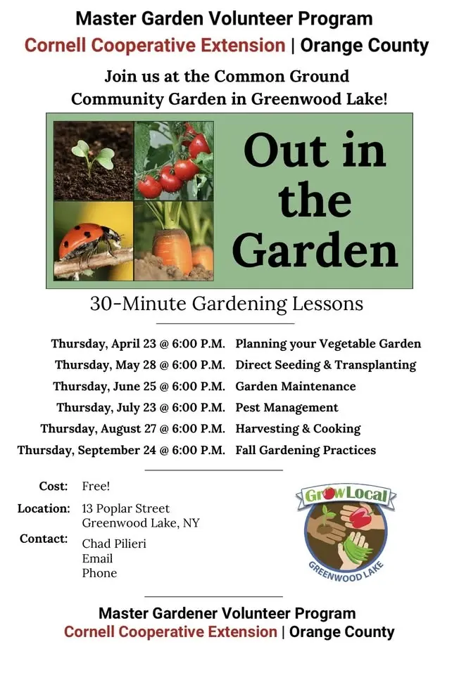 Out in the garden - Direct seeding and transplanting