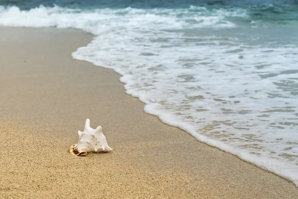 Summer’s Softening: A Yin & Sound Healing Immersion