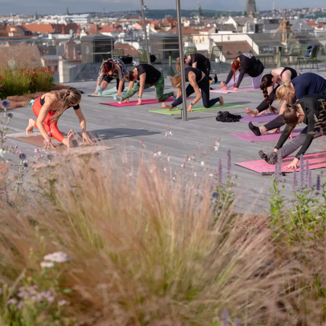 SUNSET YOGA
