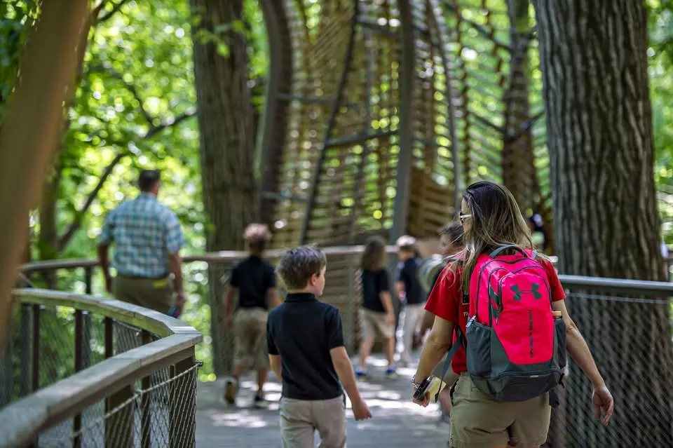 Family Nature Walk