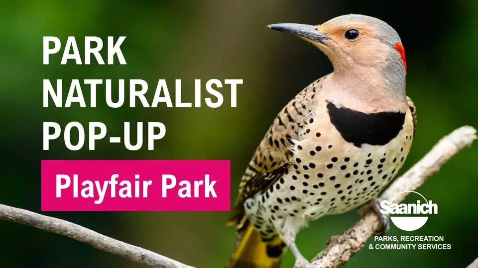 Park Naturalist Pop-up and Nature Walk - Playfair Park