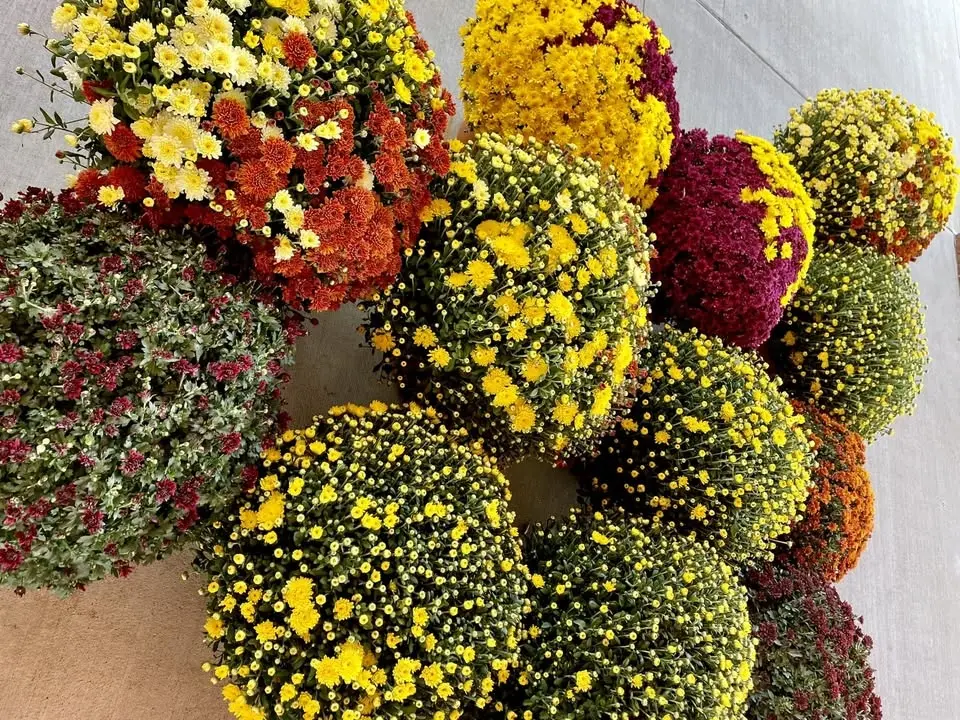 Worthington Farmer's Market