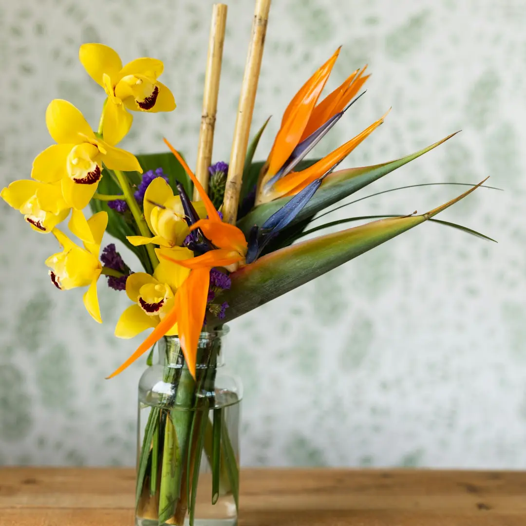 Flora and Form