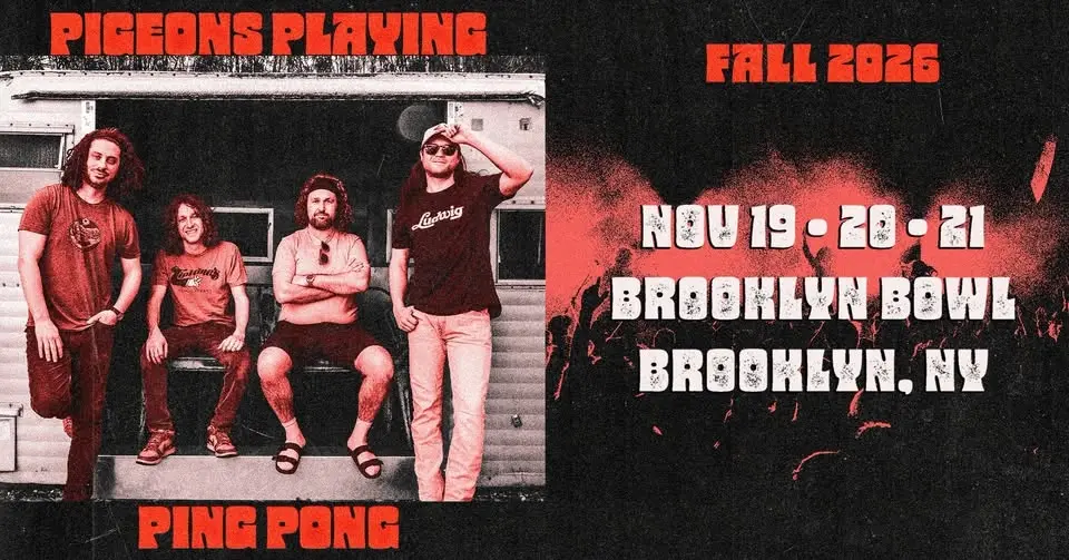 Pigeons Playing Ping Pong