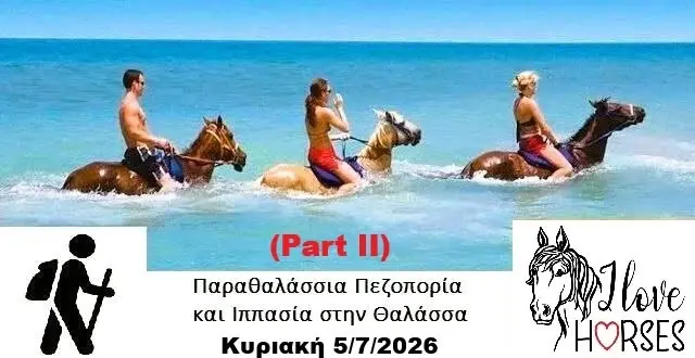 🥾 Παράκτια πεζοπορία στο υδροβιότοπο και 🐎Ιππασία στην Θάλασσα (Part II) – Βραυρώνα – Αρτέμιδα