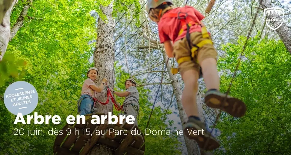Arbre en arbre