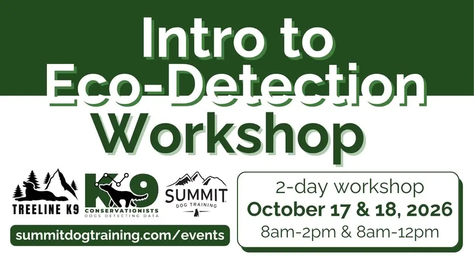 Intro to Eco-Detection Workshop