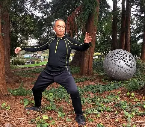 Tai Chi with Nelson Ng