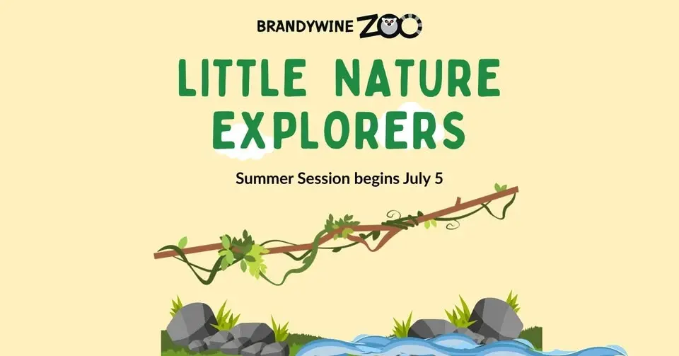 Little Nature Explorers - Summer Session