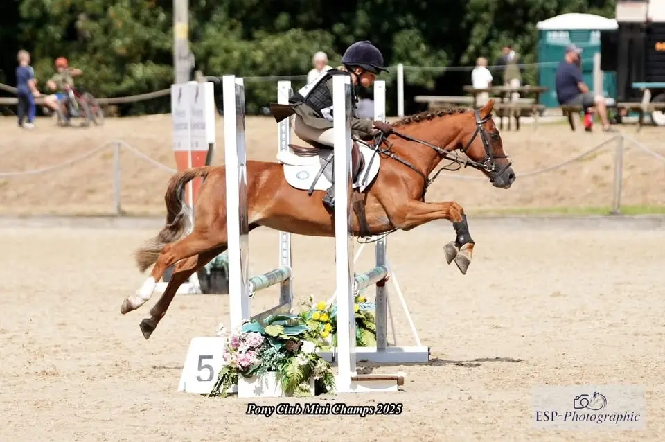 Wylye Valley Mini Showjumping 30-70cm