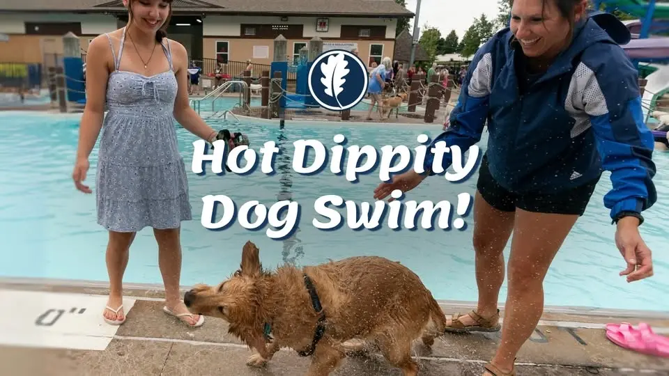 Hot Dippity Dog Swim