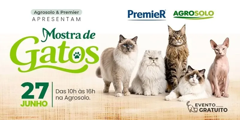 Mostra de Gatos Premier