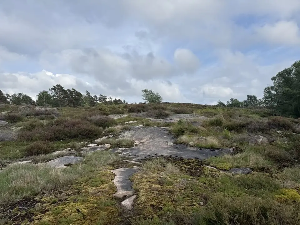 Trailtorsdag