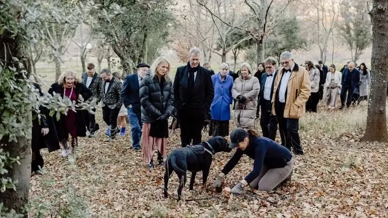 The Black Tie and Gumboot Truffle Hunt and Dinner