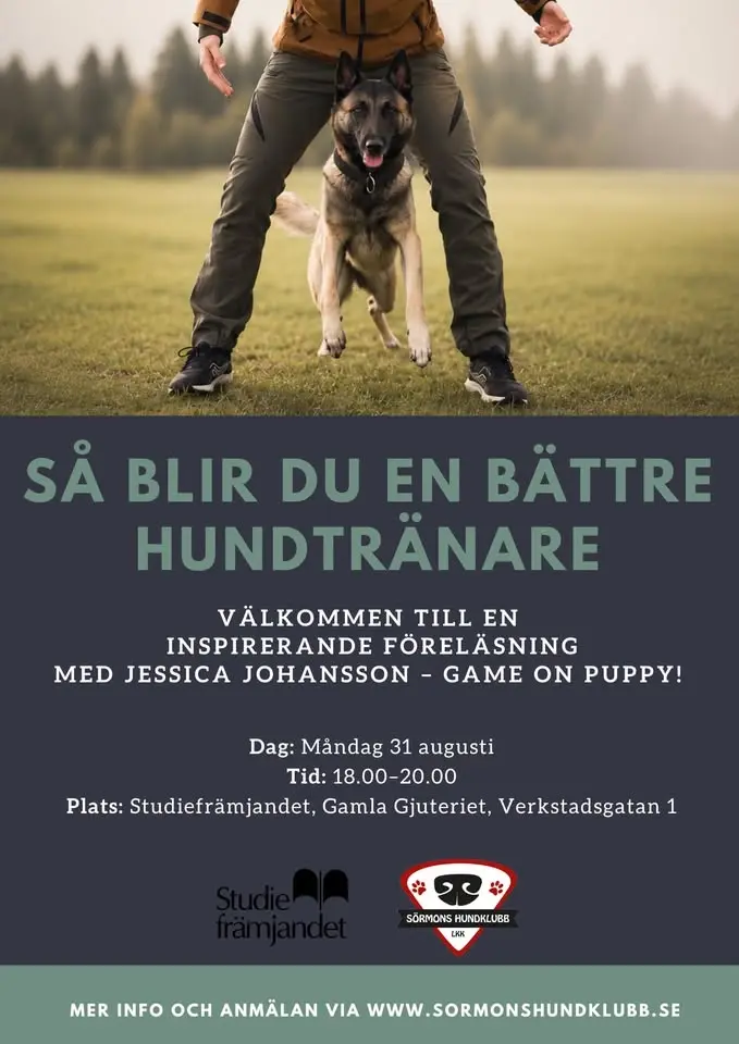 Föreläsning: Så blir du en bättre hundtränare