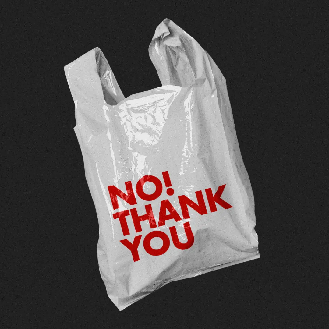 Heal House: The Fertility of the Future