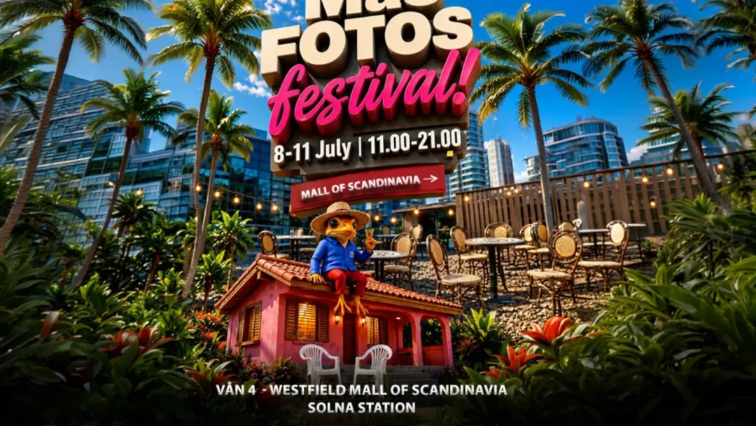 🐰📸🌴 DEBÍ TIRAR MÁS FOTOS FESTIVAL 🌴📸🐰