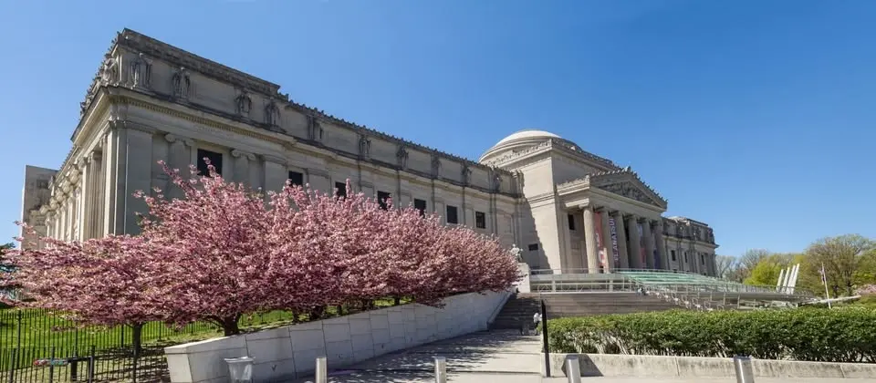 NYU Alumni Night at the Brooklyn Museum