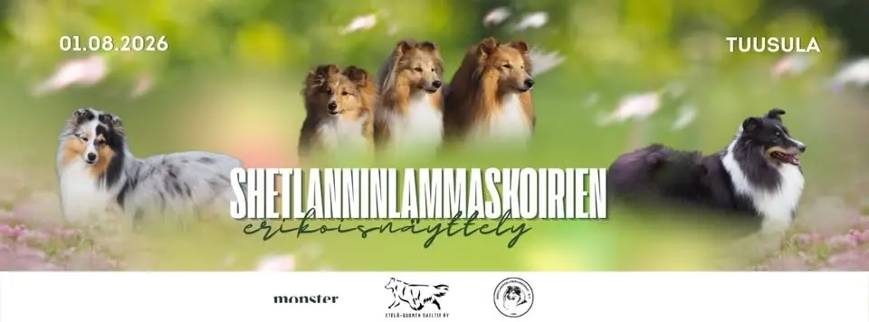 Shetlanninlammaskoirien erikoisnäyttely 1.8.2026