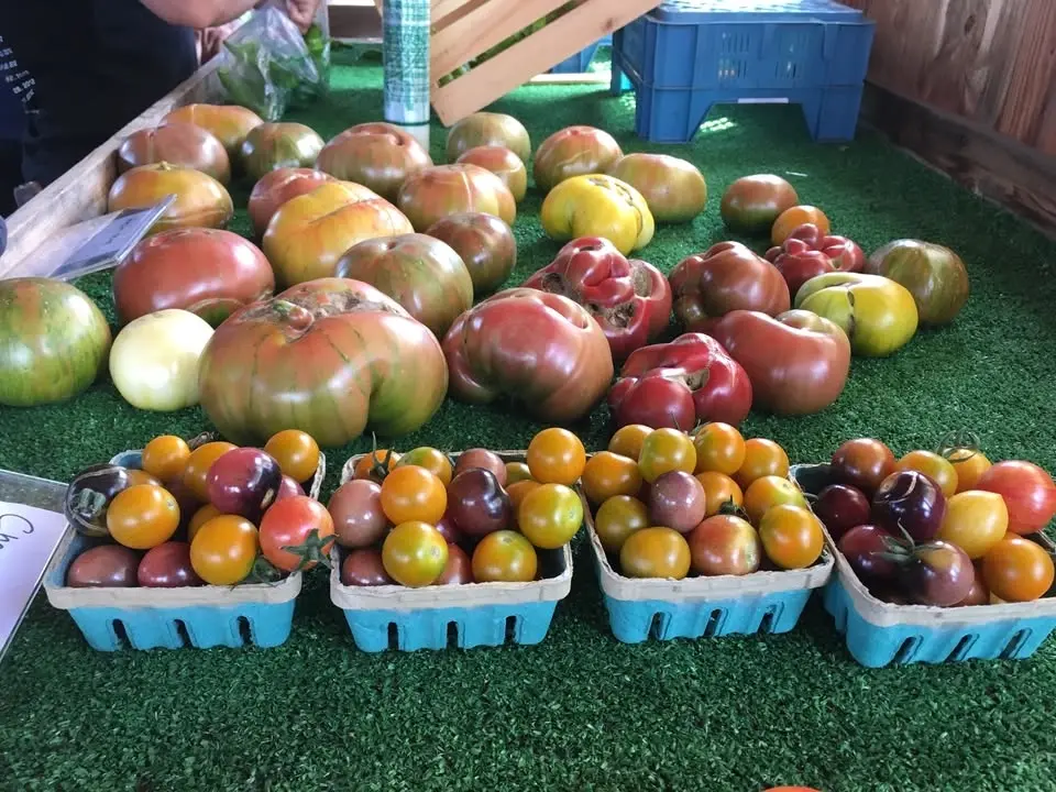 Community Supported Agriculture Program (CSA)