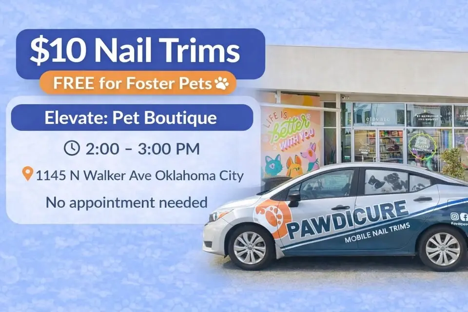 $10 Nail Trims - FREE for Fosters at Elevate: Pet Boutique Oklahoma City