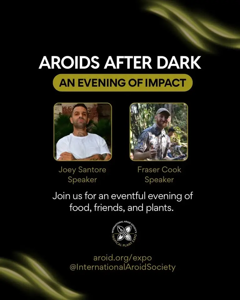 Aroids After Dark: An Evening of Impact