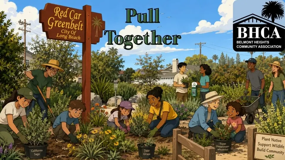 Pull Together!