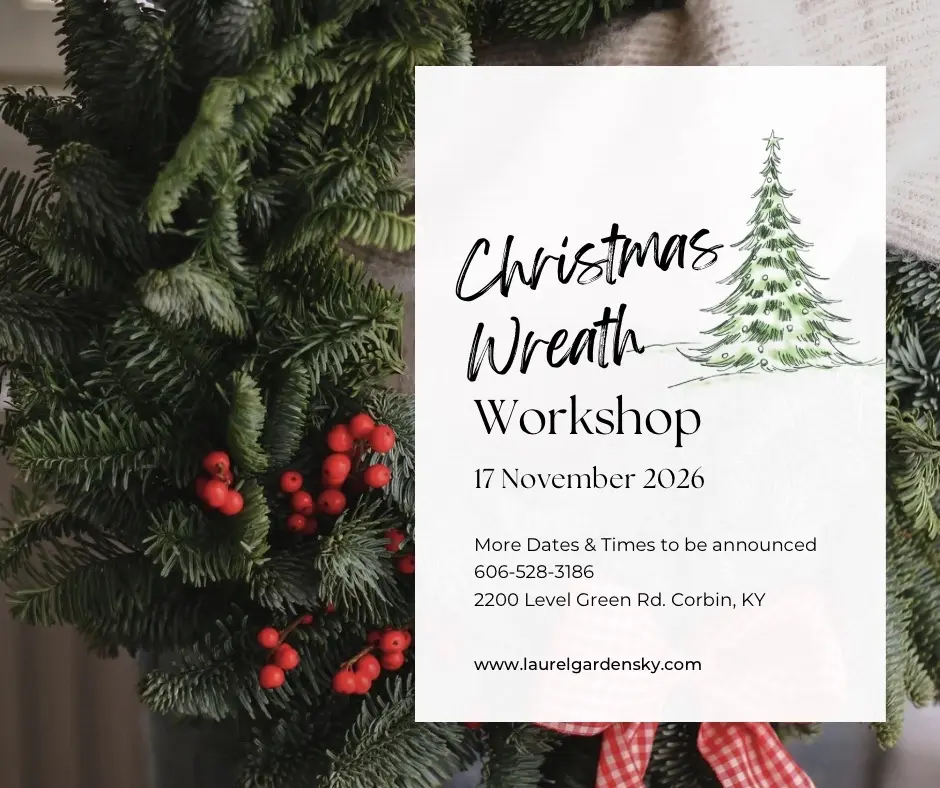 Evergreen Elegance: A Holiday Wreath Workshop at Laurel Gardens