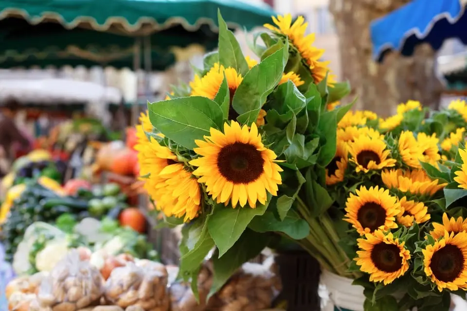 New Brighton's Sunset Market