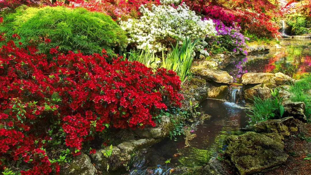 🌺 Сады Эксбери