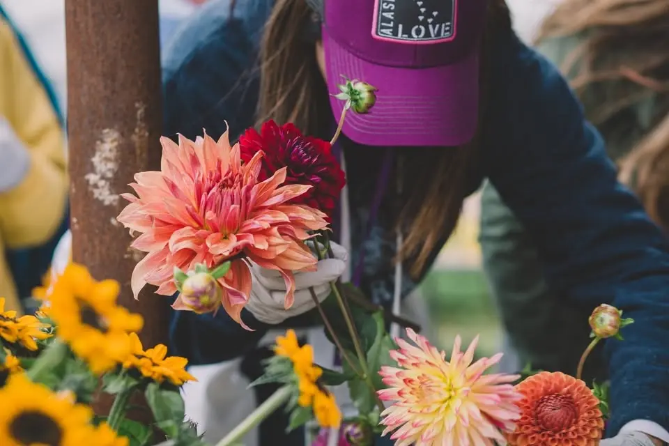 Alaska Flower Farm U-Pick Days