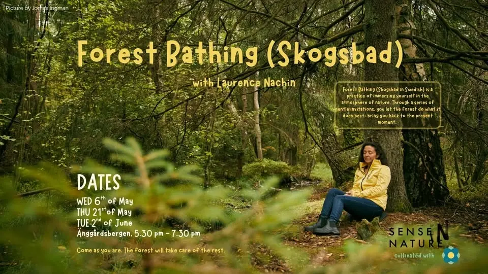 Forest Bathing (Skogsbad) with Laurence Nachin