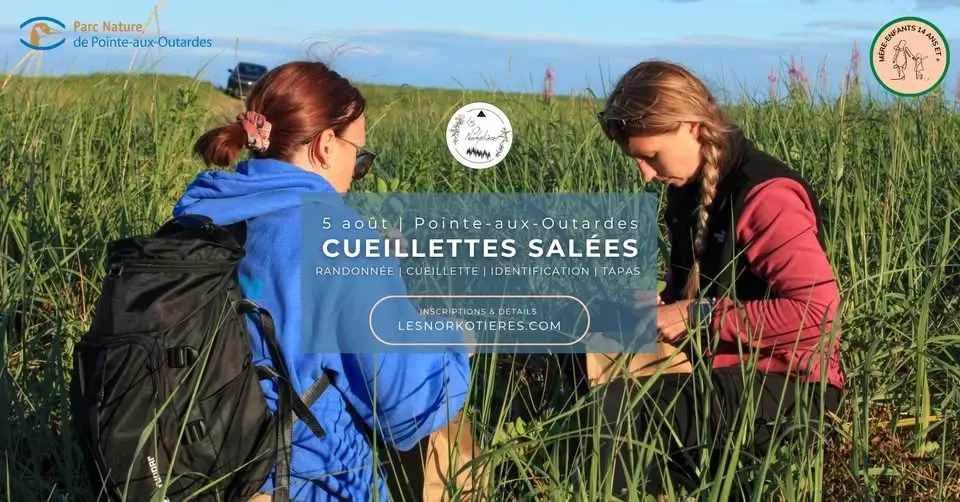 Cueillettes salées | Pointe-aux-Outardes