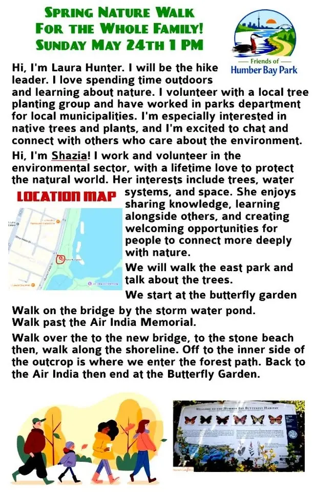 Nature Walk in the spring